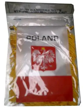 4X6 Inch Polish Flag With Suction Cup And Easy-Hang Cord 1