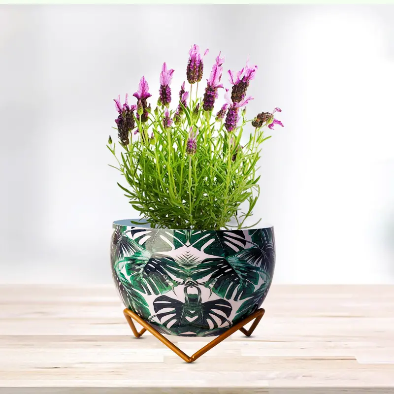 Black-And-White Contrast Metal Vase/Planter – Minimalist Interior Accent 1