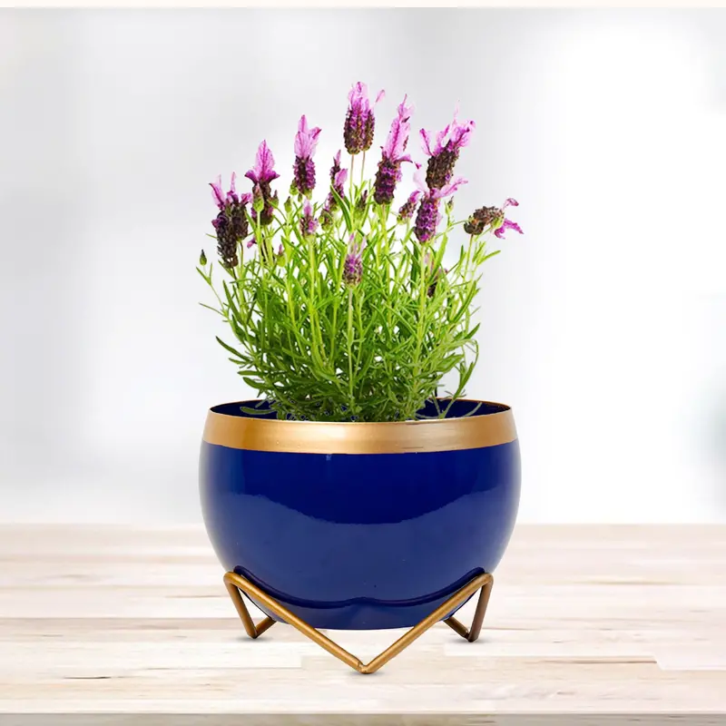 Blue And Gold Metallic Indoor Vase/Planter – Chic Home Accessory 1