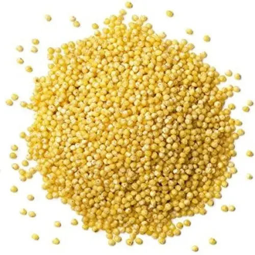 Hulled Millet Grain (Kasza Jaglana) – 16 Oz Pack 1