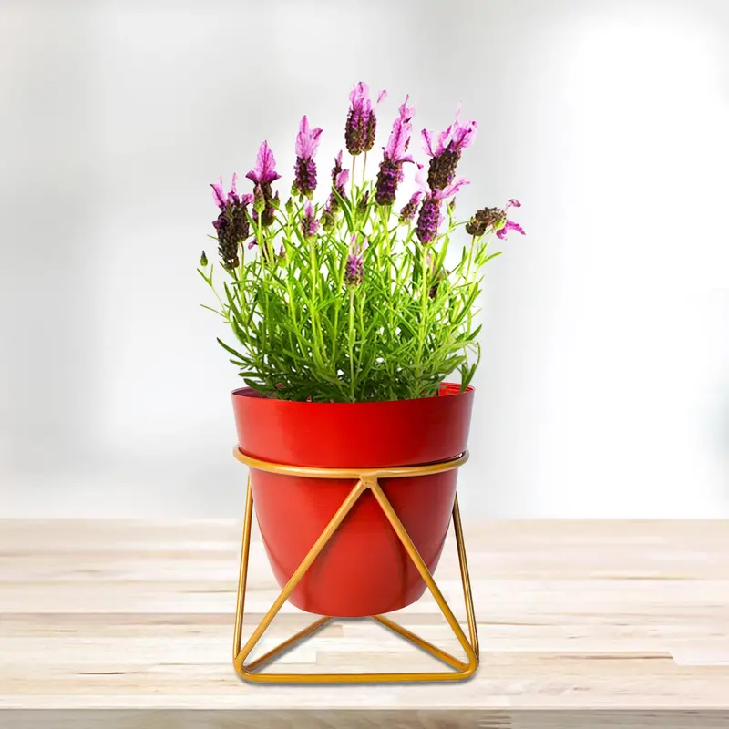 Modern Red Metal Indoor Vase Or Planter – Decorative Accent Piece 1
