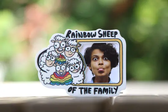 Rainbow Sheep Refrigerator Magnet 1