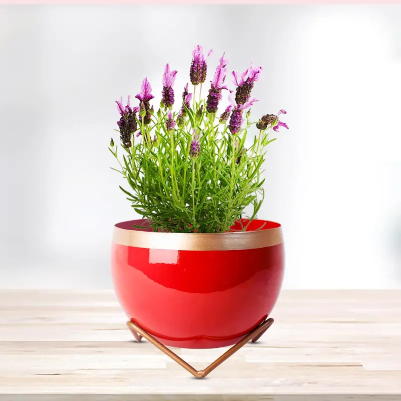 Red And Gold Metal Vase Or Planter – Stylish Indoor Decor Item 1