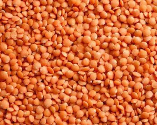 Red Lentils – 32 Oz Bulk 1