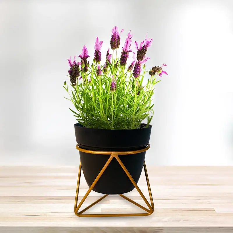 Sleek Black Metal Indoor Vase Or Planter – Contemporary Home Decor 1