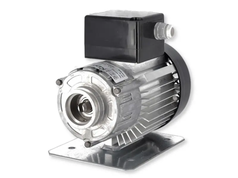 Thermally Protected 245W Clamp Motor (230V, 50/60Hz) 1