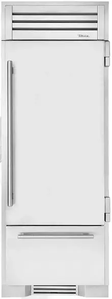 True 30-Inch Indoor Solid-Door Refrigerator (Second Variant) 1