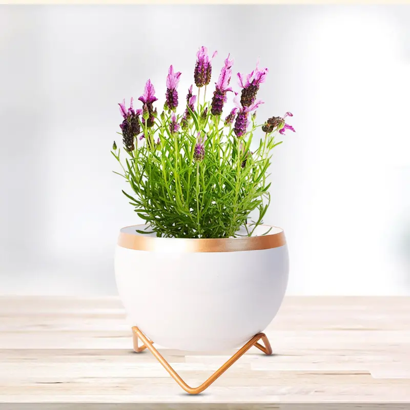 White And Gold Metallic Indoor Vase/Planter – Elegant Decorative Accent 1