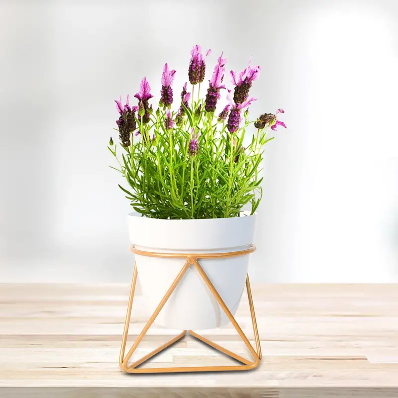 White Metal Indoor Vase Or Planter For Modern Spaces 1