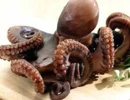 Whole Fresh Octopus – 5–6 Lb 1
